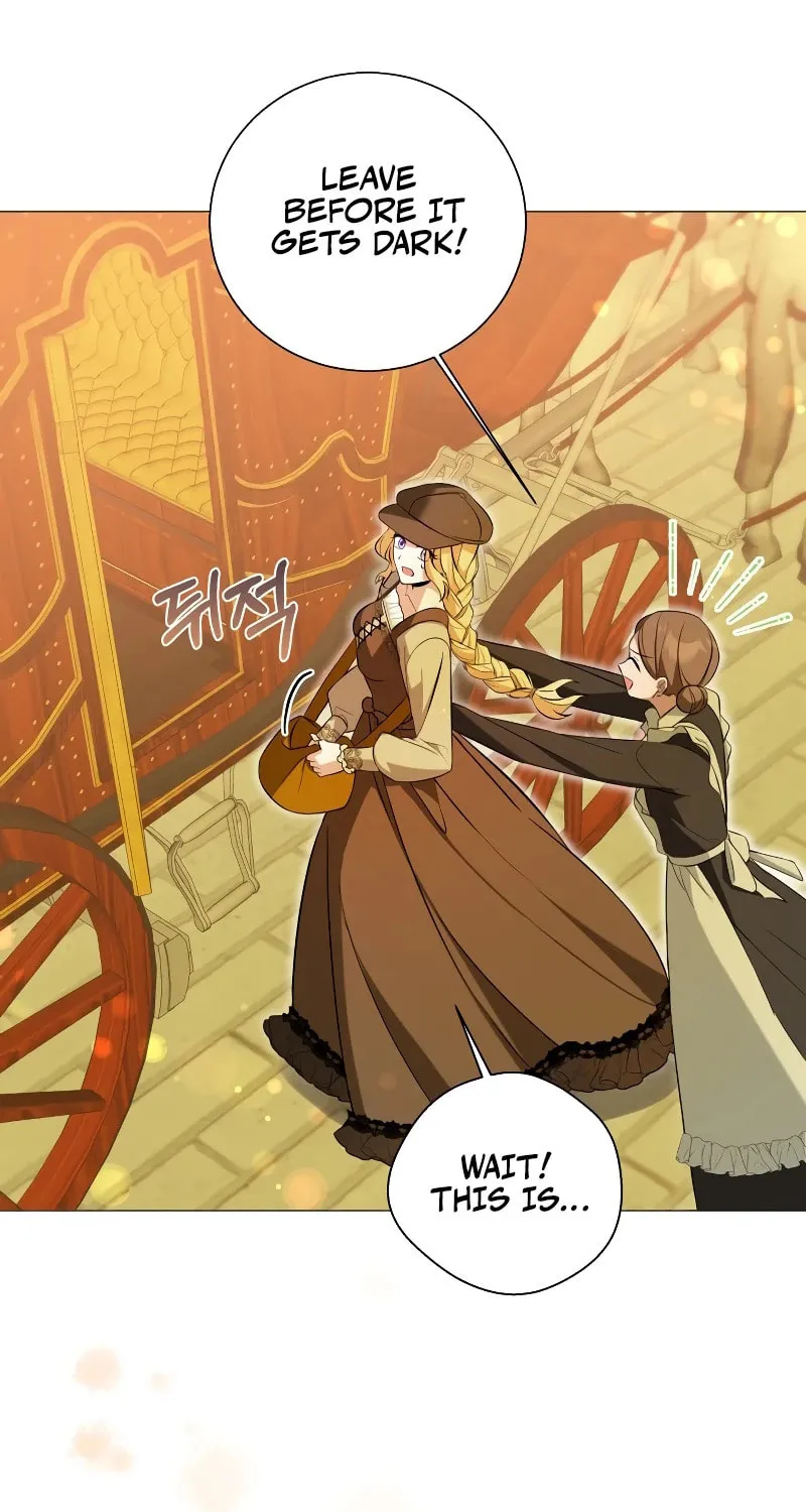 Taming the Shrew Chapter 12 page 74 - 