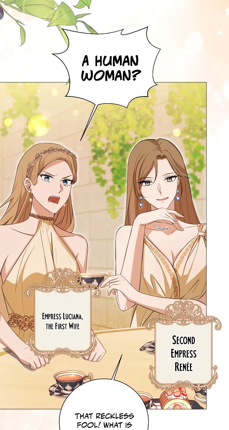 Taming the Shrew Chapter 13 page 42 - 