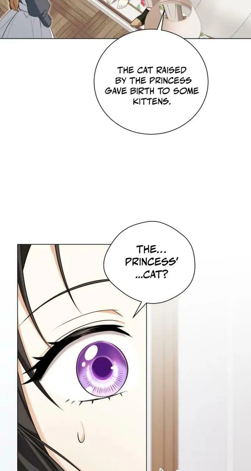 Taming the Shrew Chapter 22 page 25 - 