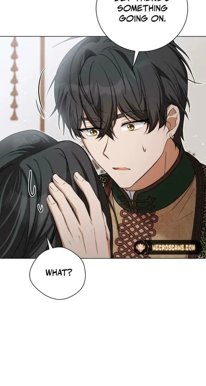 Taming the Shrew Chapter 22 page 37 - 