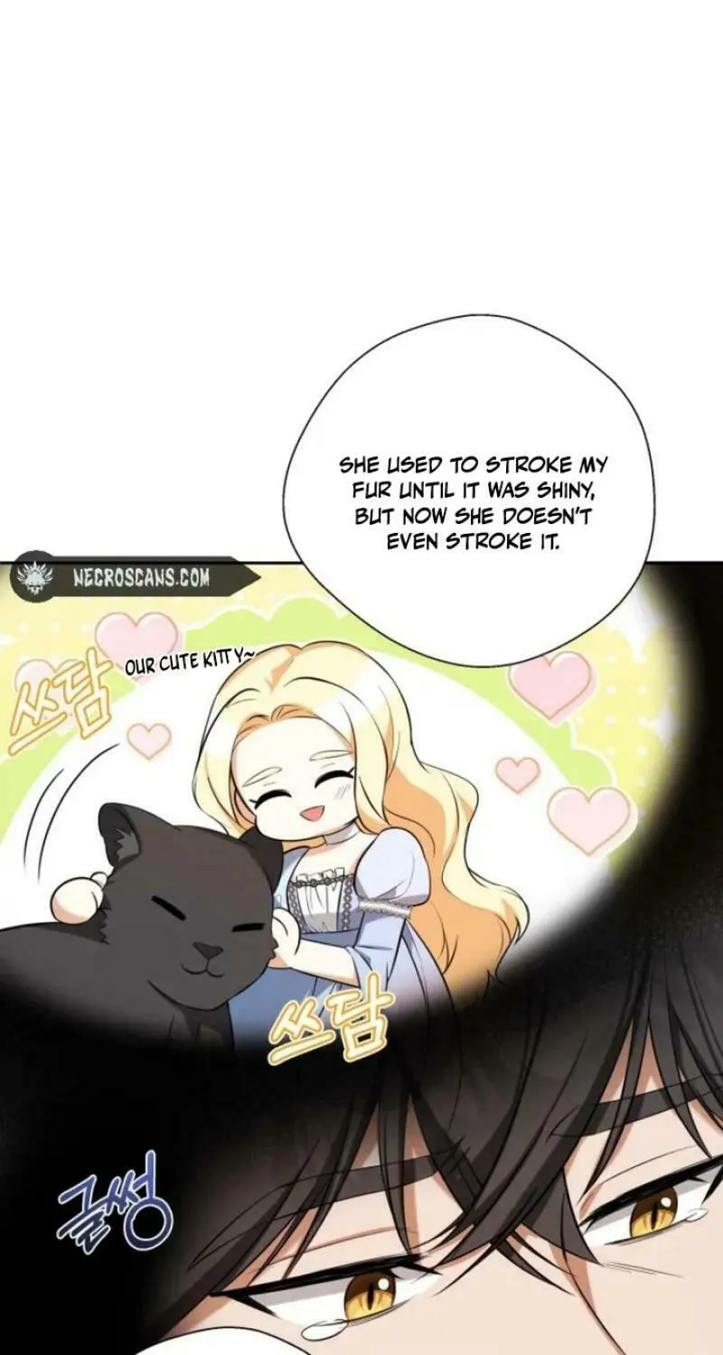 Taming the Shrew Chapter 27 page 63 - 