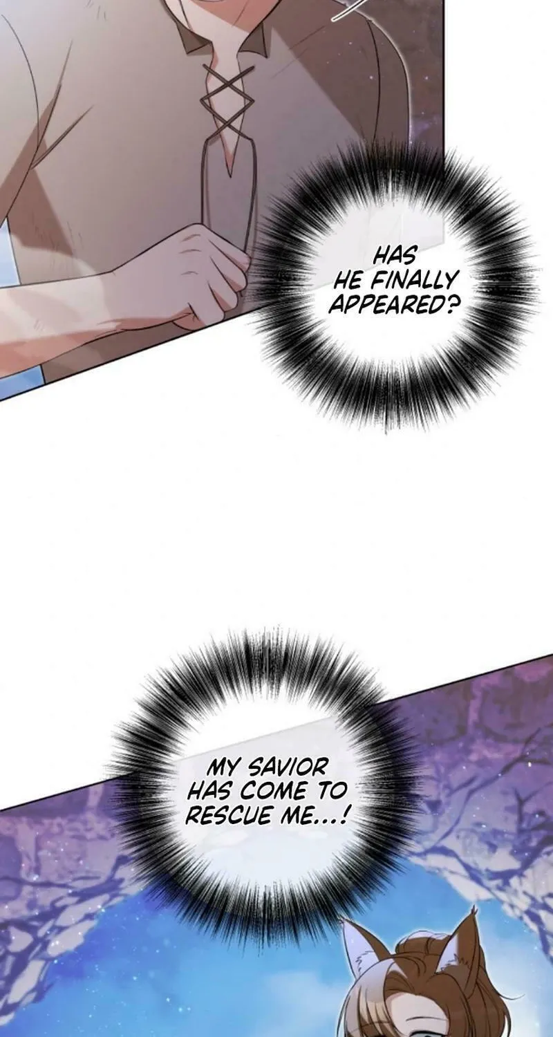 Taming the Shrew Chapter 32 page 70 - 