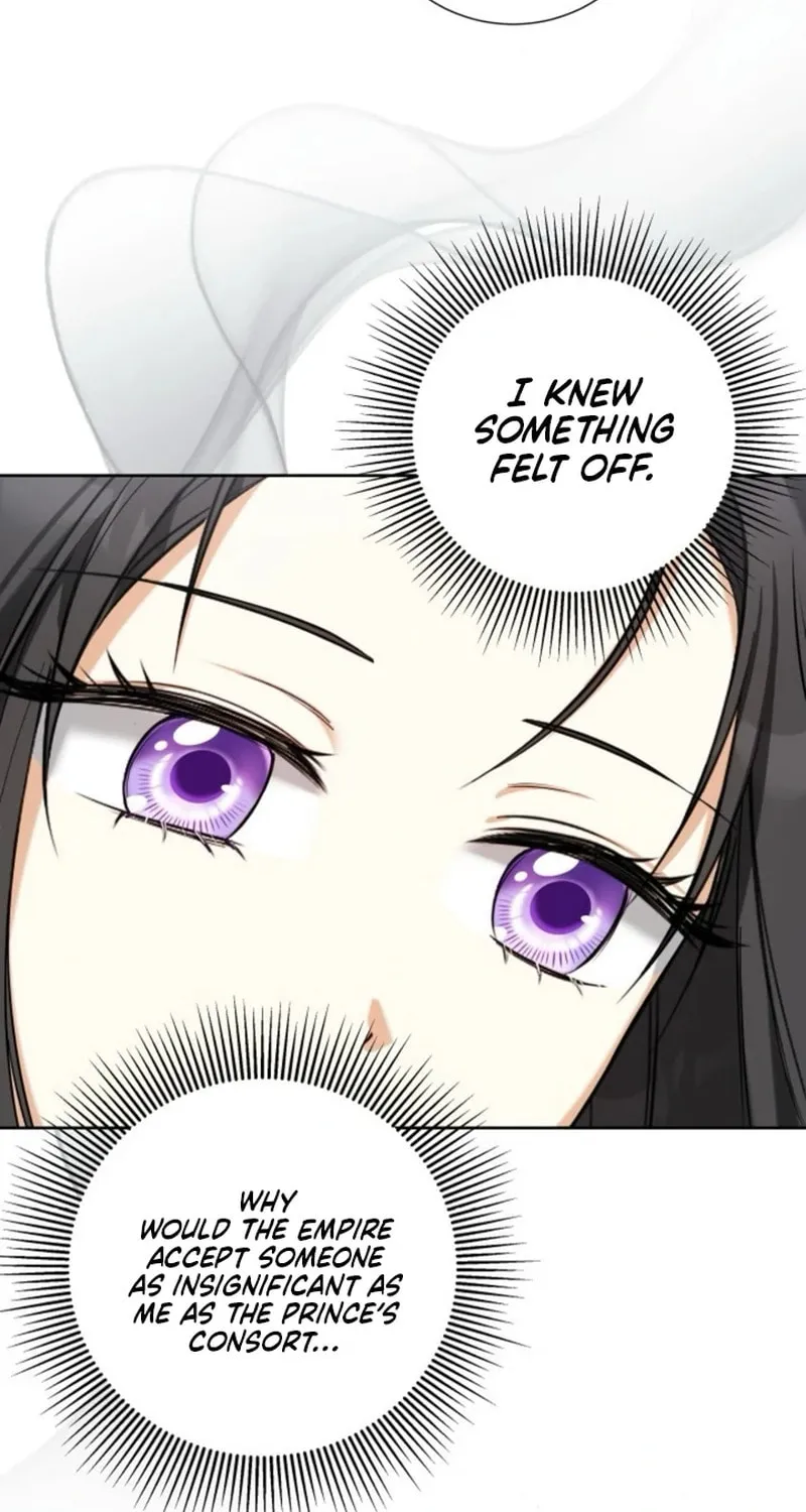 Taming the Shrew Chapter 41 page 62 - 