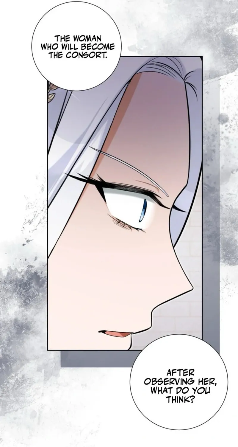 Taming the Shrew Chapter 41 page 77 - 