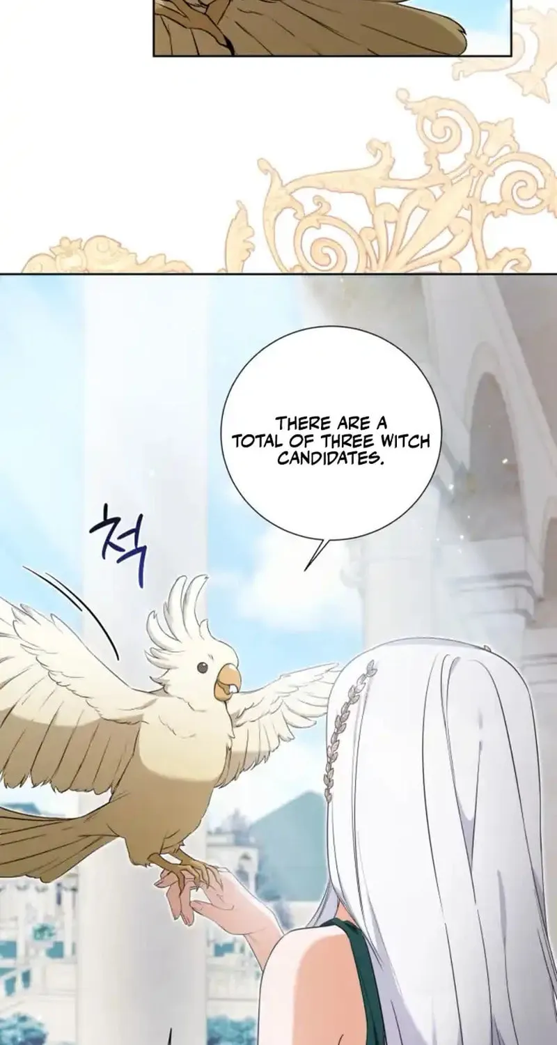Taming the Shrew Chapter 42 page 15 - 