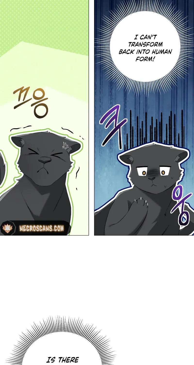 Taming the Shrew Chapter 5 page 76 - 