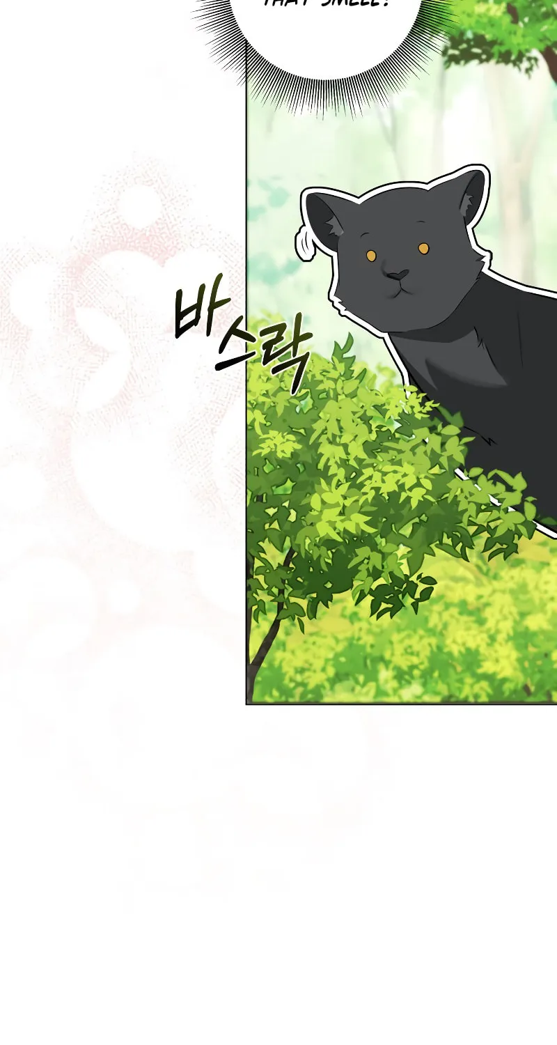 Taming the Shrew Chapter 5 page 87 - 