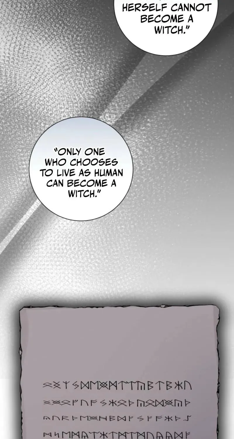 Taming the Shrew Chapter 50 page 64 - 