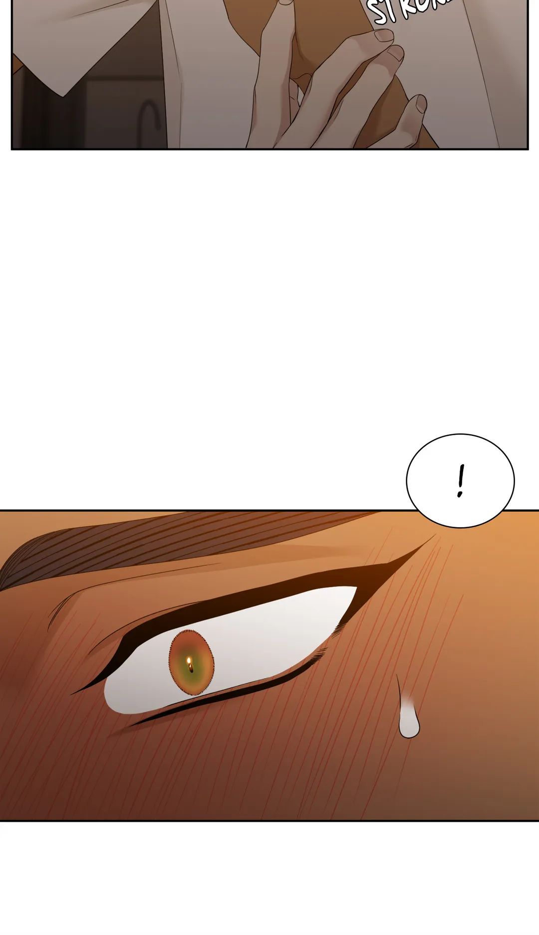 Taming the Tiger Chapter 75 page 9 - 