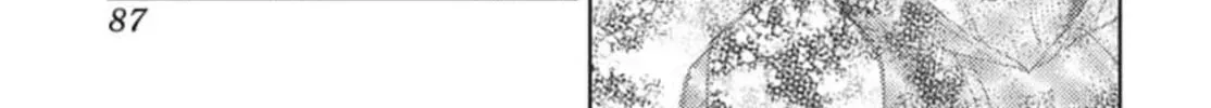 Tamon