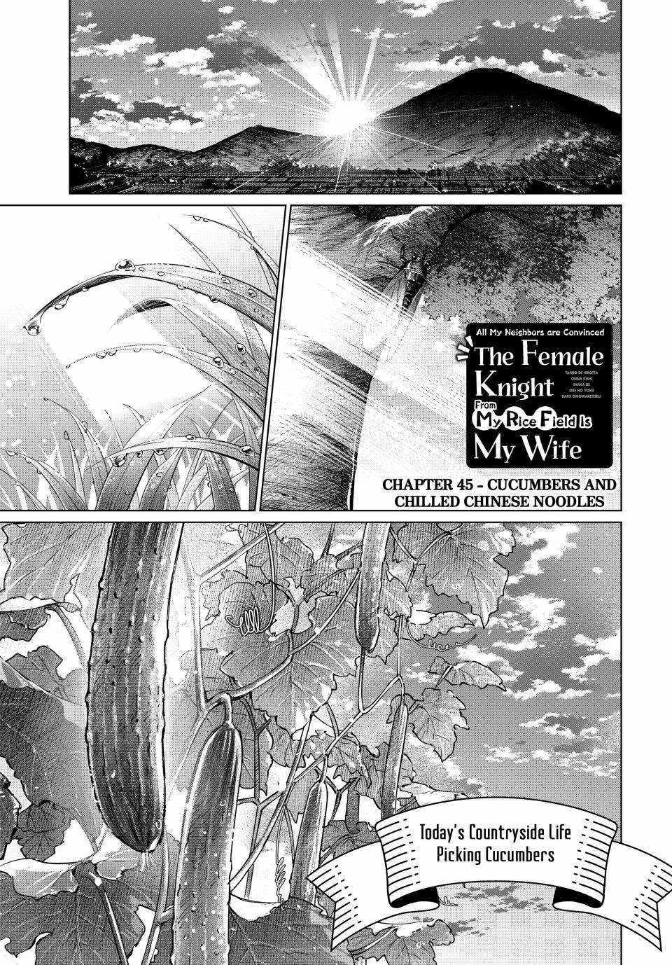 Tanbo de Hirotta Onna Kishi, Inaka de Ore no Yome da to Omowareteiru Chapter 45 page 1 - 