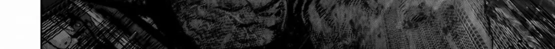 Task Force for Paranormal Disaster Management Chapter 16 page 32 - 