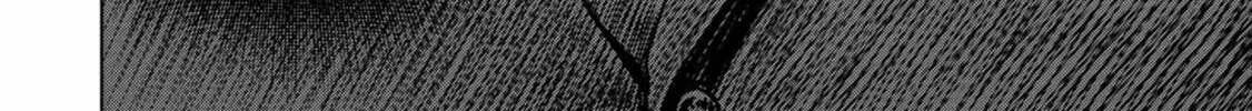 Task Force for Paranormal Disaster Management Chapter 28 page 37 - 