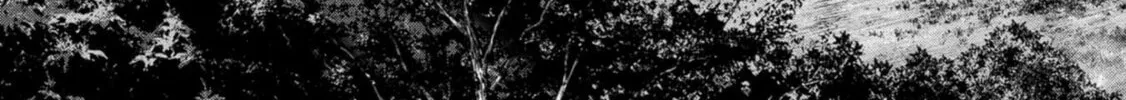 Task Force for Paranormal Disaster Management Chapter 32 page 91 - 