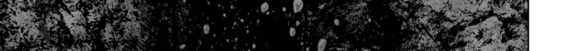 Task Force for Paranormal Disaster Management Chapter 41 page 81 - 