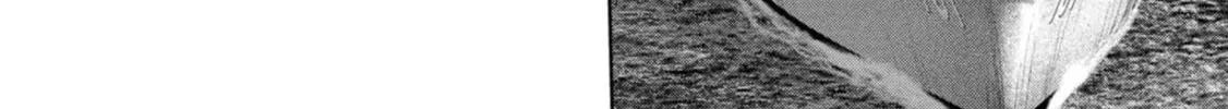 Task Force for Paranormal Disaster Management Chapter 43 page 57 - 