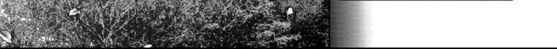 Task Force for Paranormal Disaster Management Chapter 49 page 121 - 