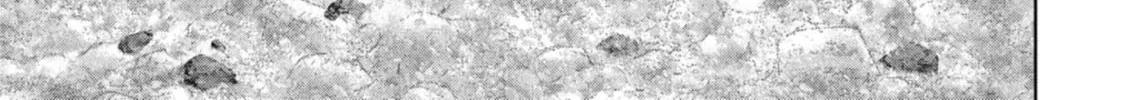 Task Force for Paranormal Disaster Management Chapter 59 page 91 - 