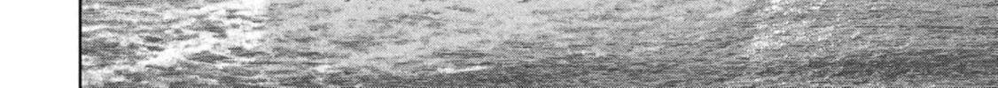 Task Force for Paranormal Disaster Management Chapter 60 page 51 - 