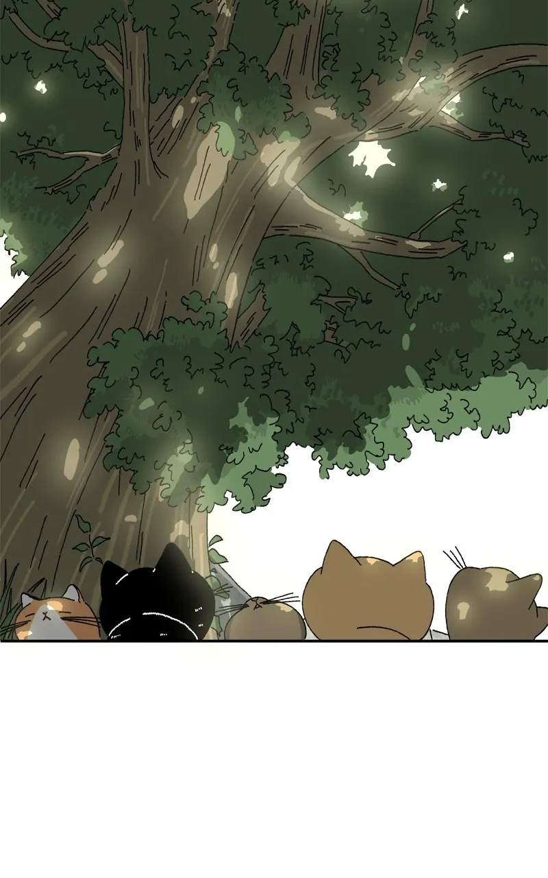 Tata the Cat Chapter 1 page 25 - 