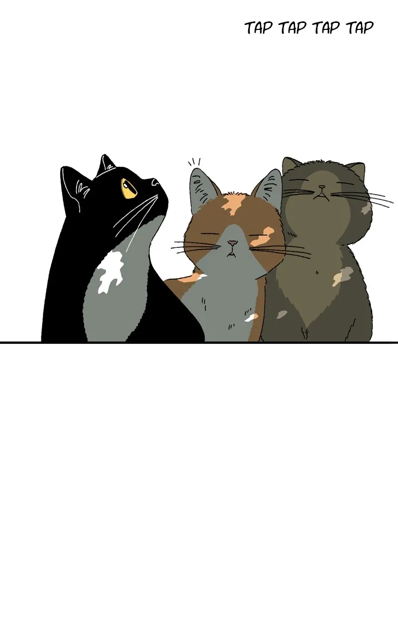 Tata the Cat Chapter 1 page 26 - 