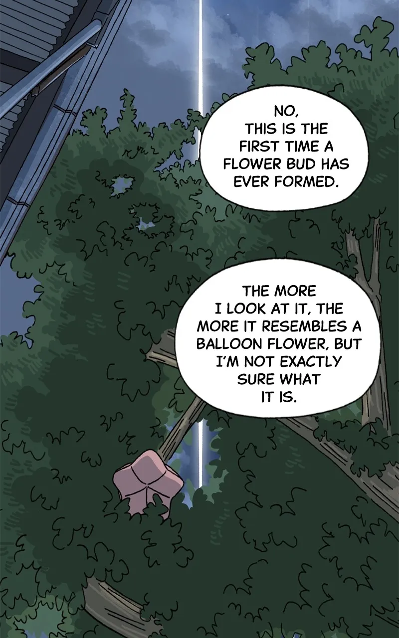 Tata the Cat Chapter 1 page 47 - 