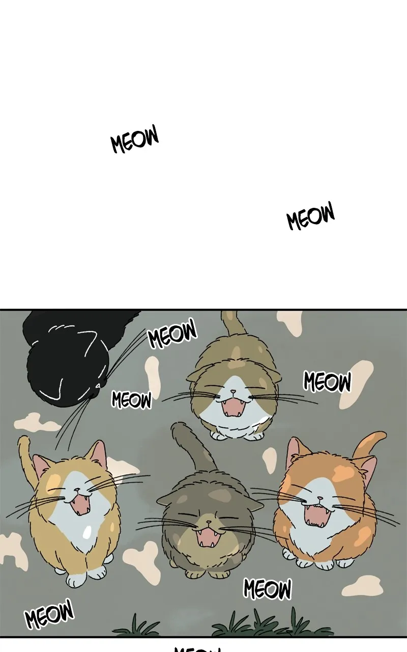 Tata the Cat Chapter 1 page 71 - 
