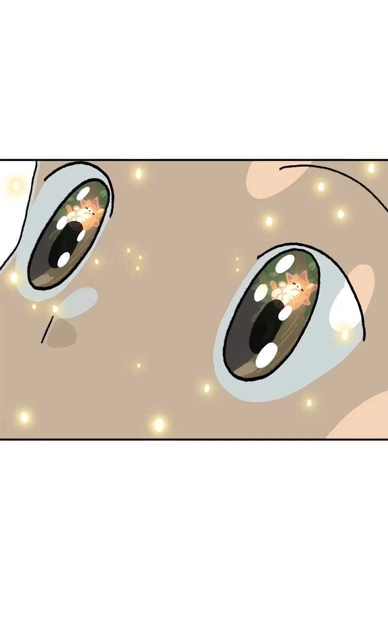 Tata the Cat Chapter 1 page 84 - 
