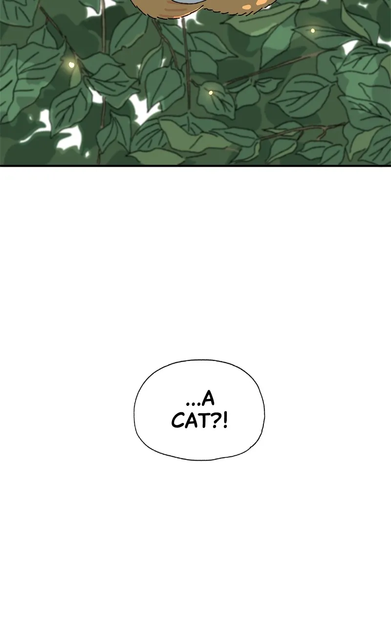 Tata the Cat Chapter 1 page 87 - 