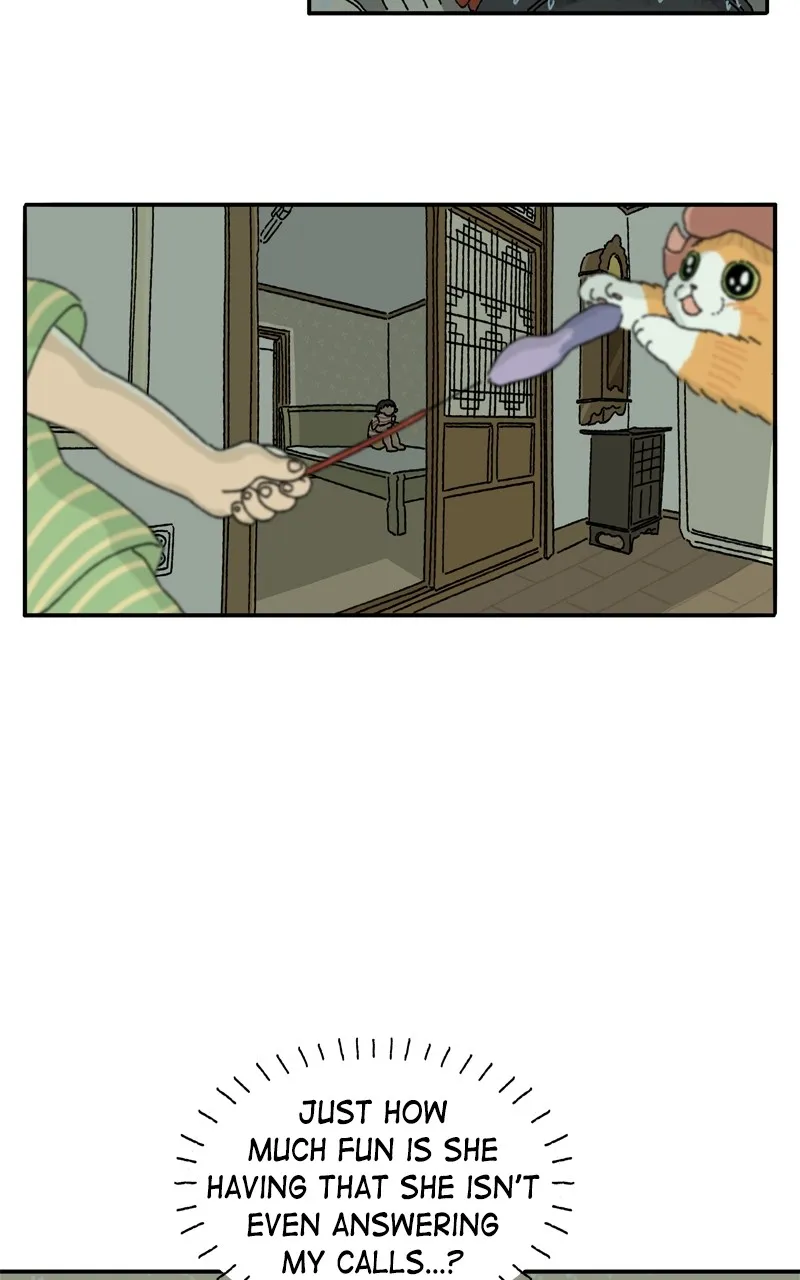 Tata the Cat Chapter 10 page 5 - 