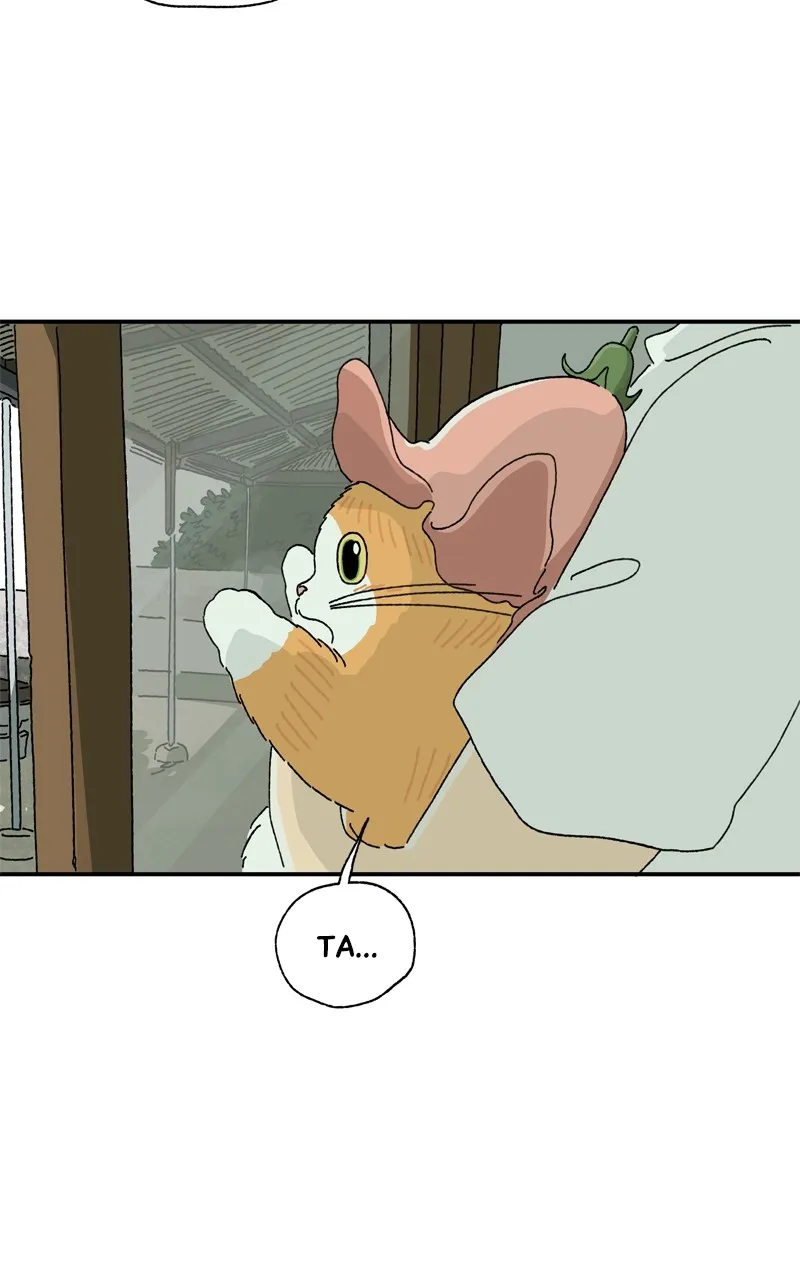 Tata the Cat Chapter 10 page 10 - 