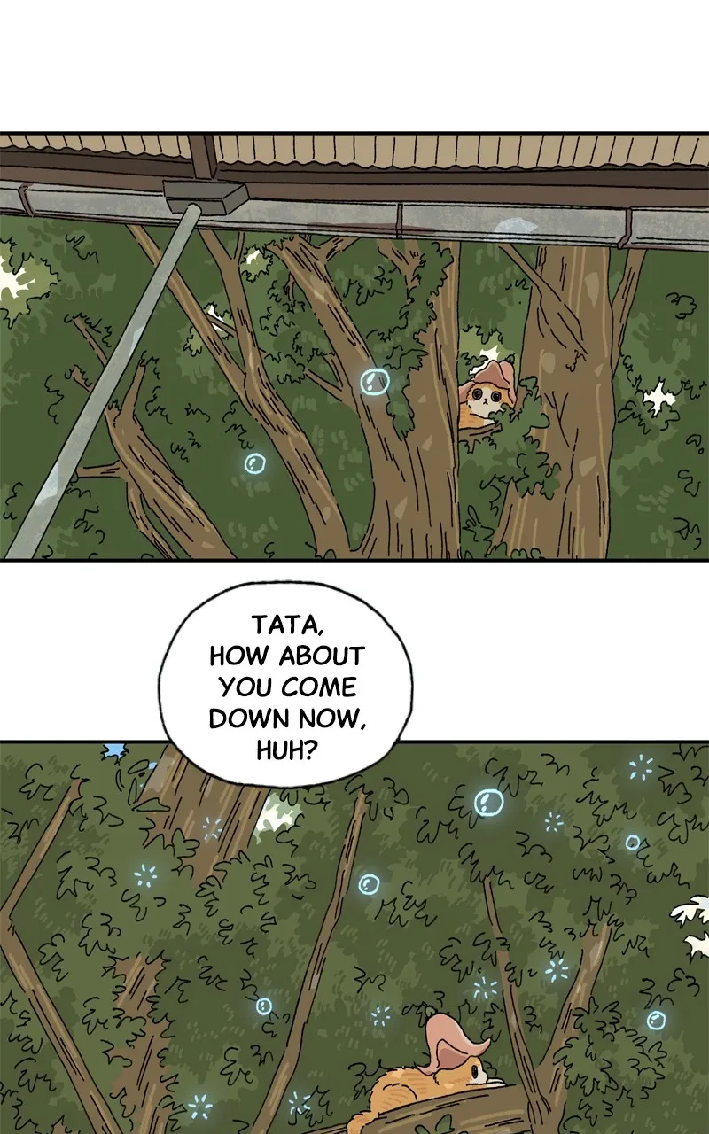 Tata the Cat Chapter 11 page 1 - 