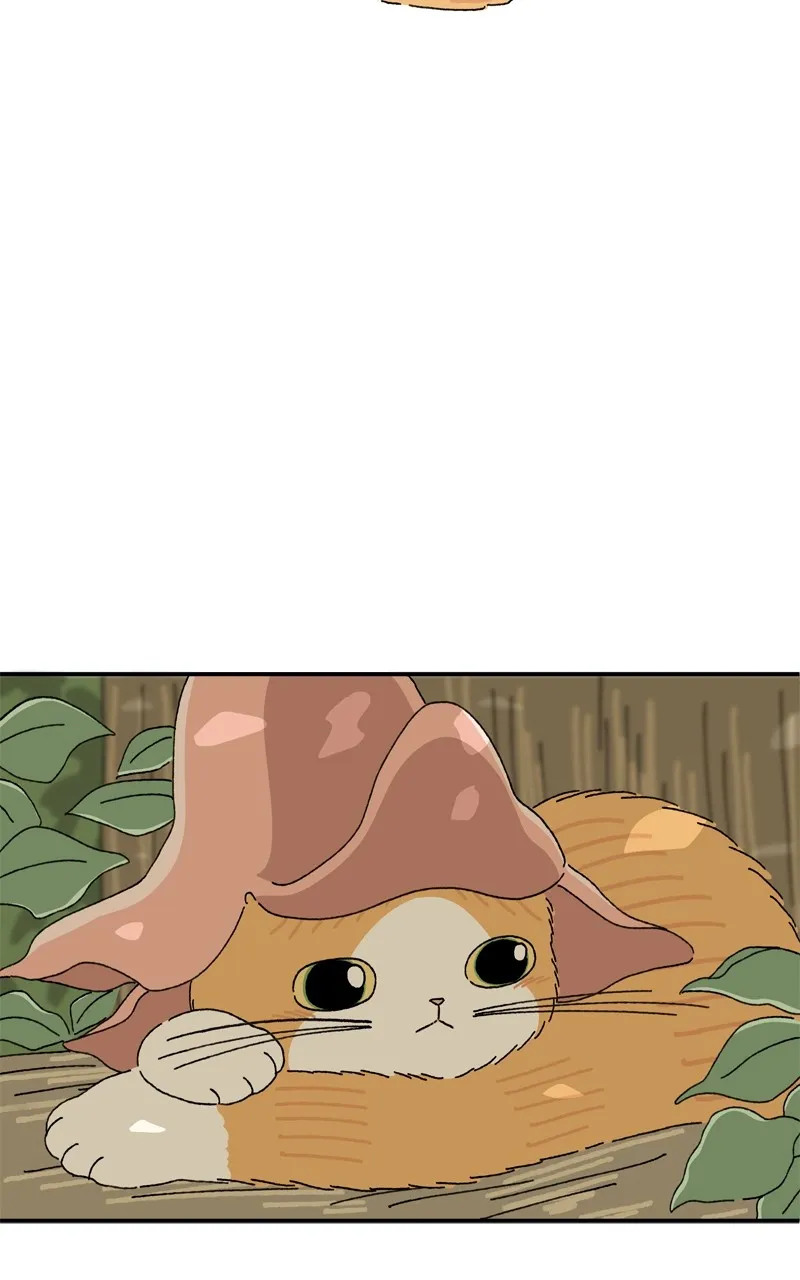 Tata the Cat Chapter 11 page 13 - 