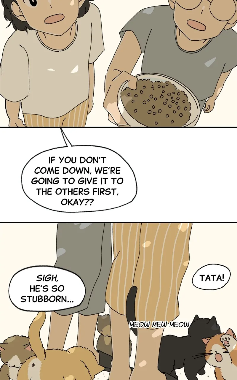 Tata the Cat Chapter 11 page 30 - 
