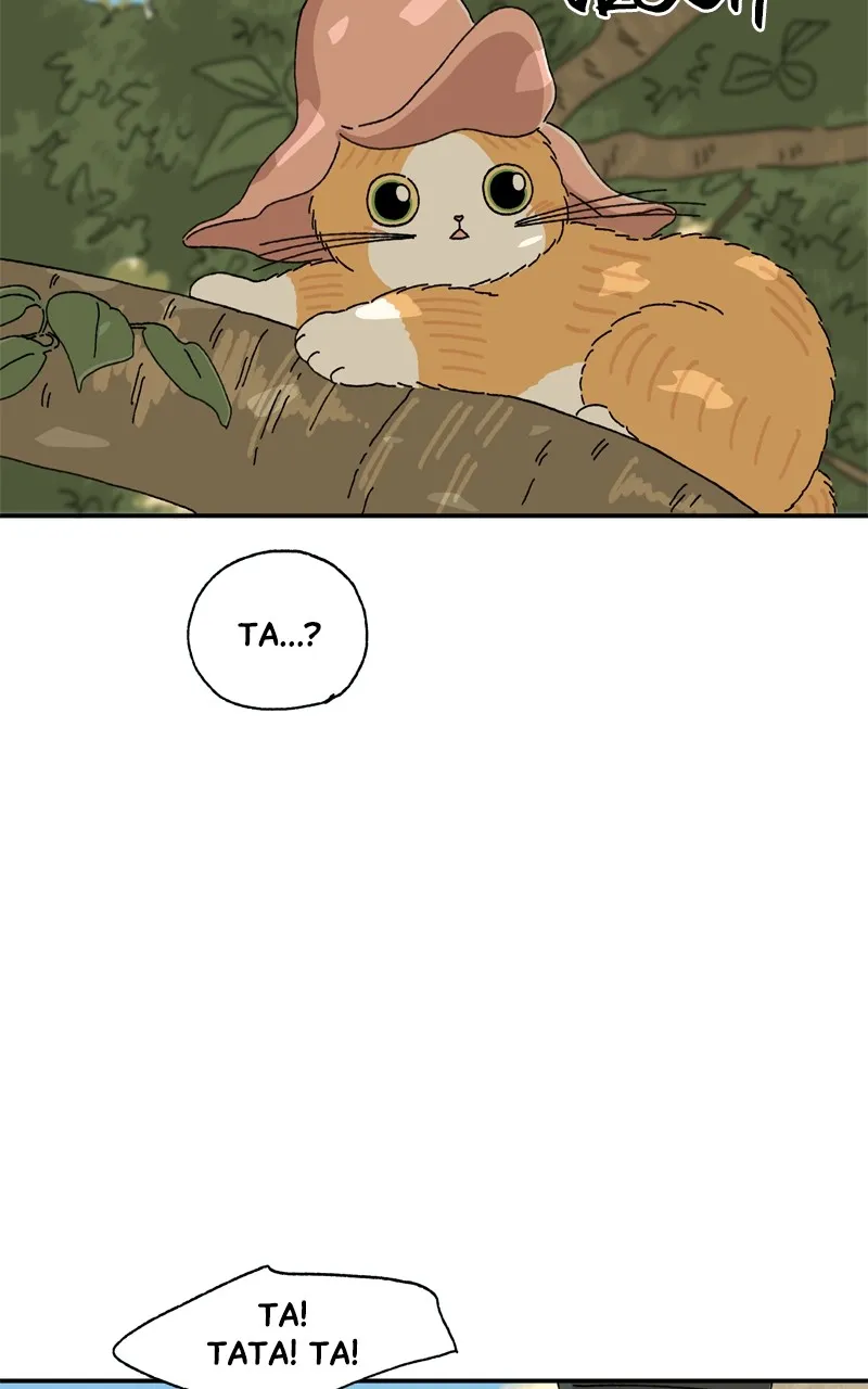 Tata the Cat Chapter 11 page 5 - 