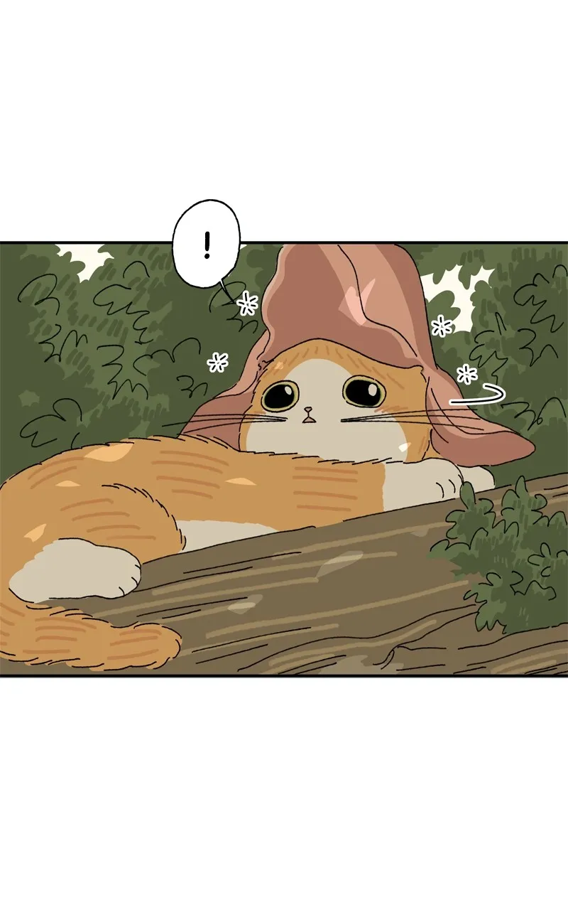 Tata the Cat Chapter 11 page 49 - 