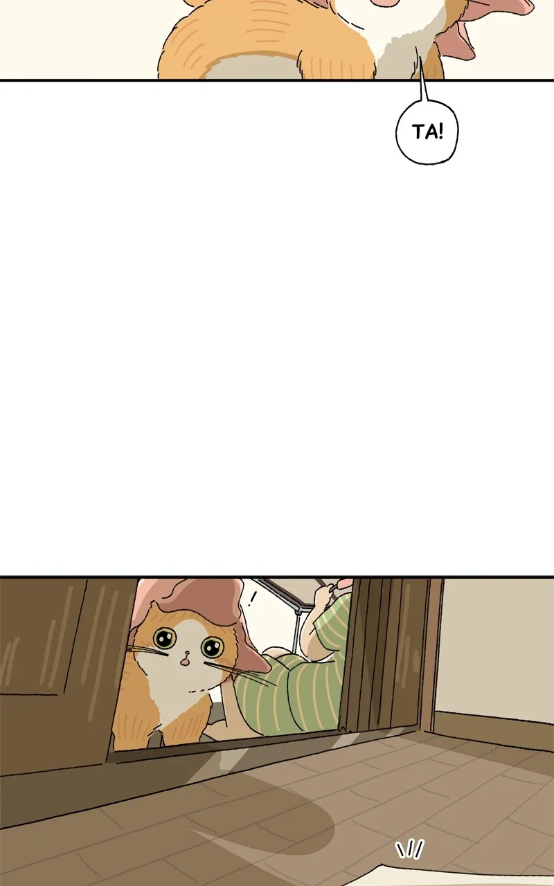 Tata the Cat Chapter 11 page 52 - 