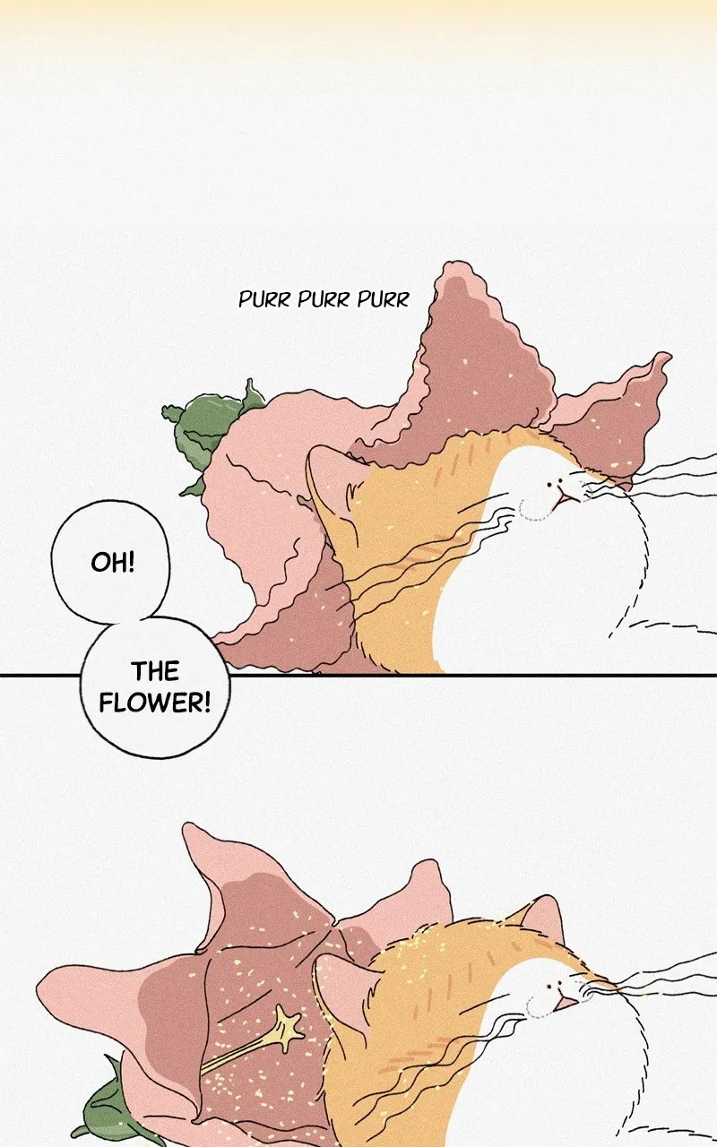 Tata the Cat Chapter 11 page 60 - 