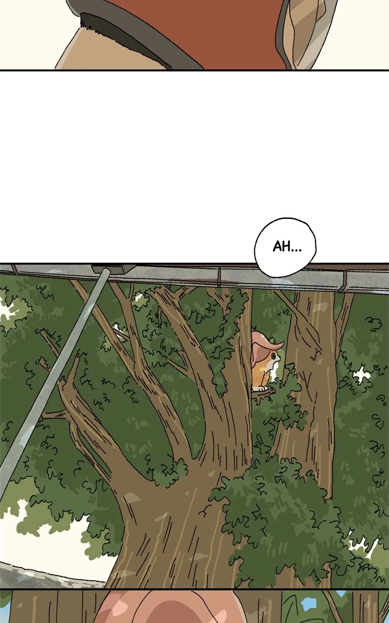 Tata the Cat Chapter 11 page 7 - 