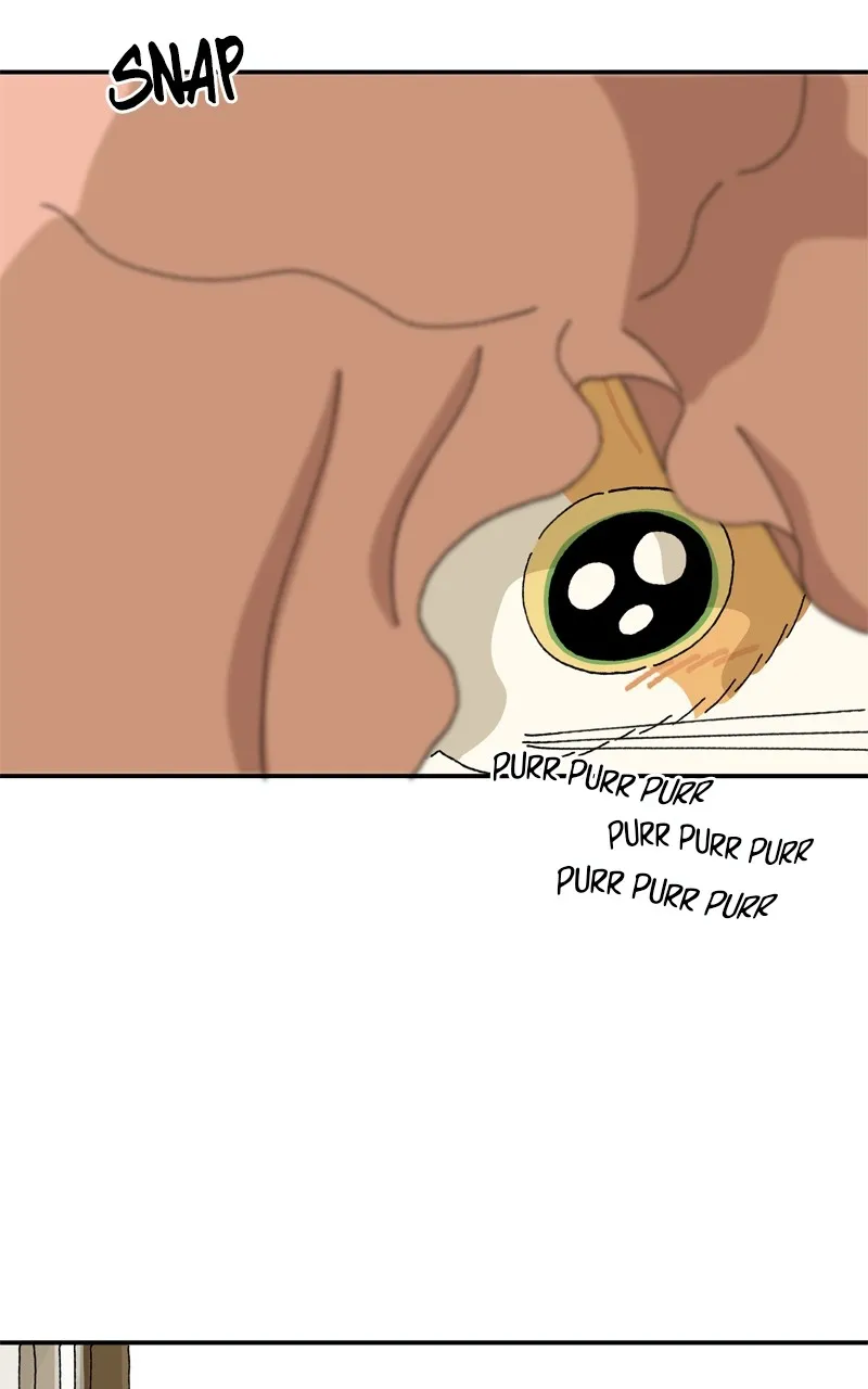 Tata the Cat Chapter 11 page 63 - 