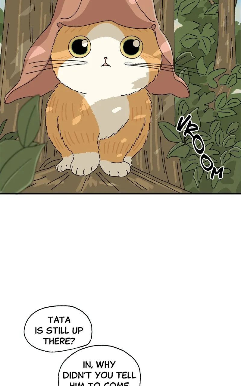 Tata the Cat Chapter 11 page 8 - 
