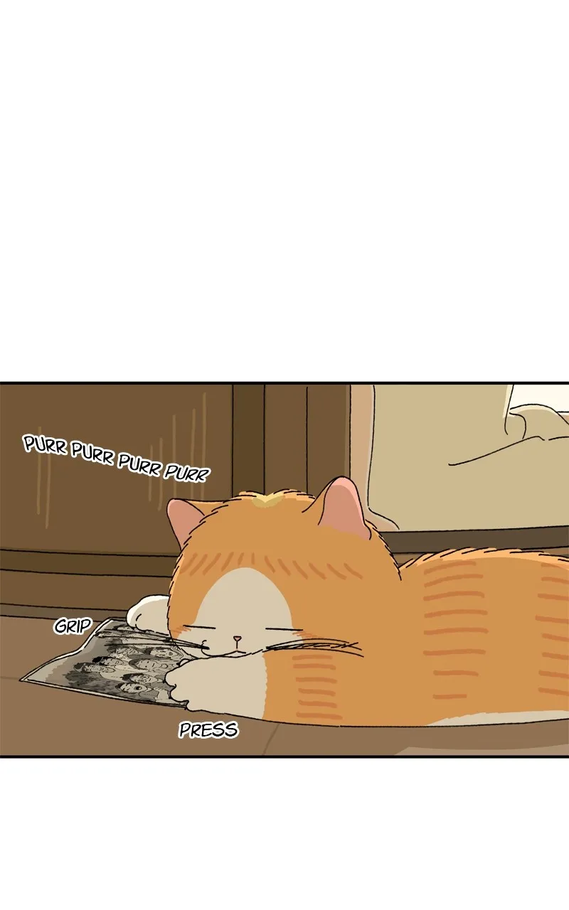 Tata the Cat Chapter 12 page 1 - 