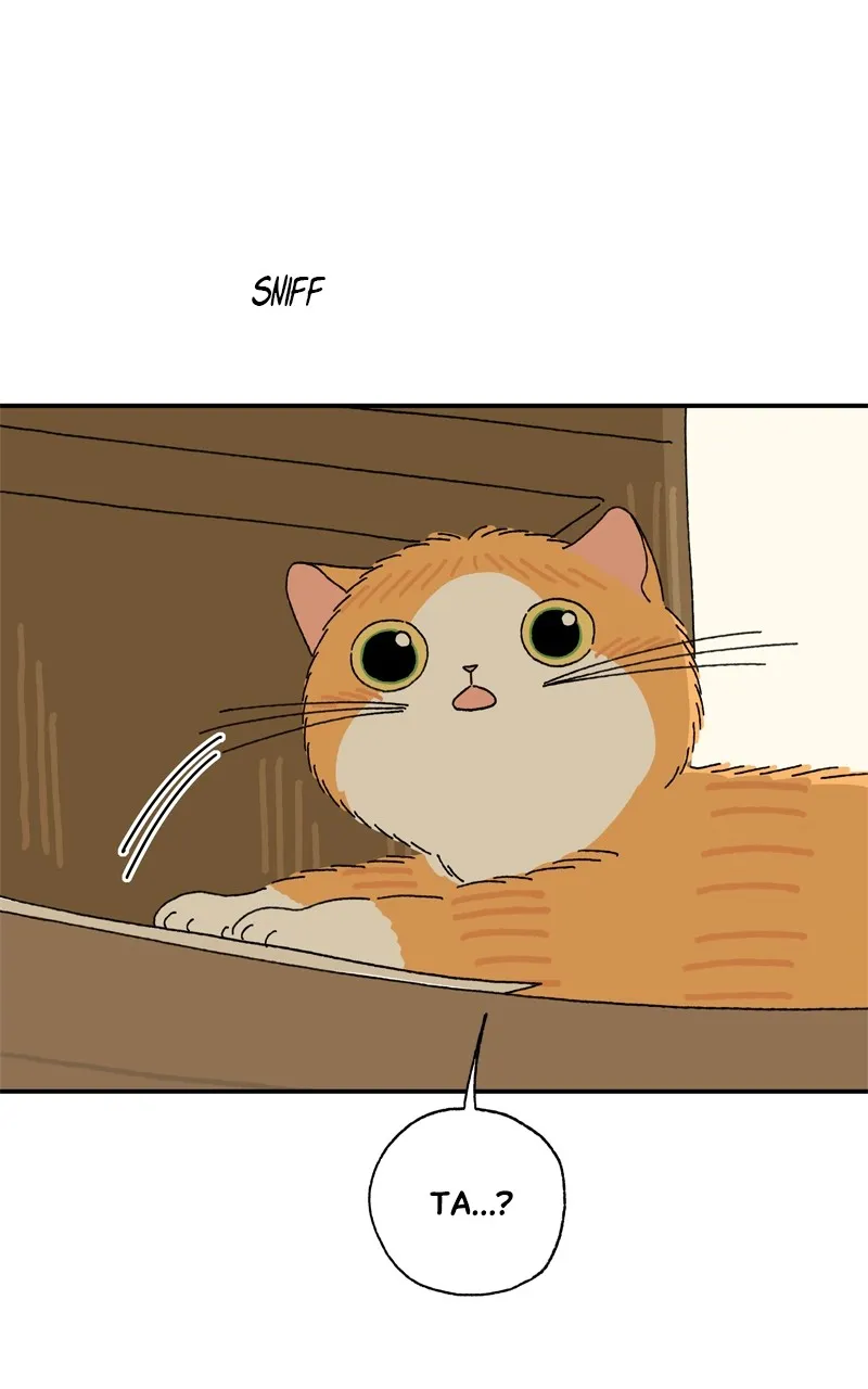 Tata the Cat Chapter 12 page 15 - 