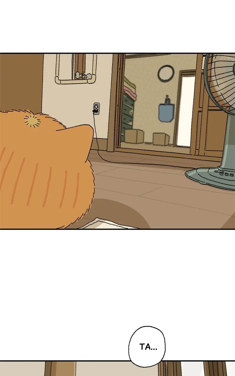 Tata the Cat Chapter 12 page 16 - 