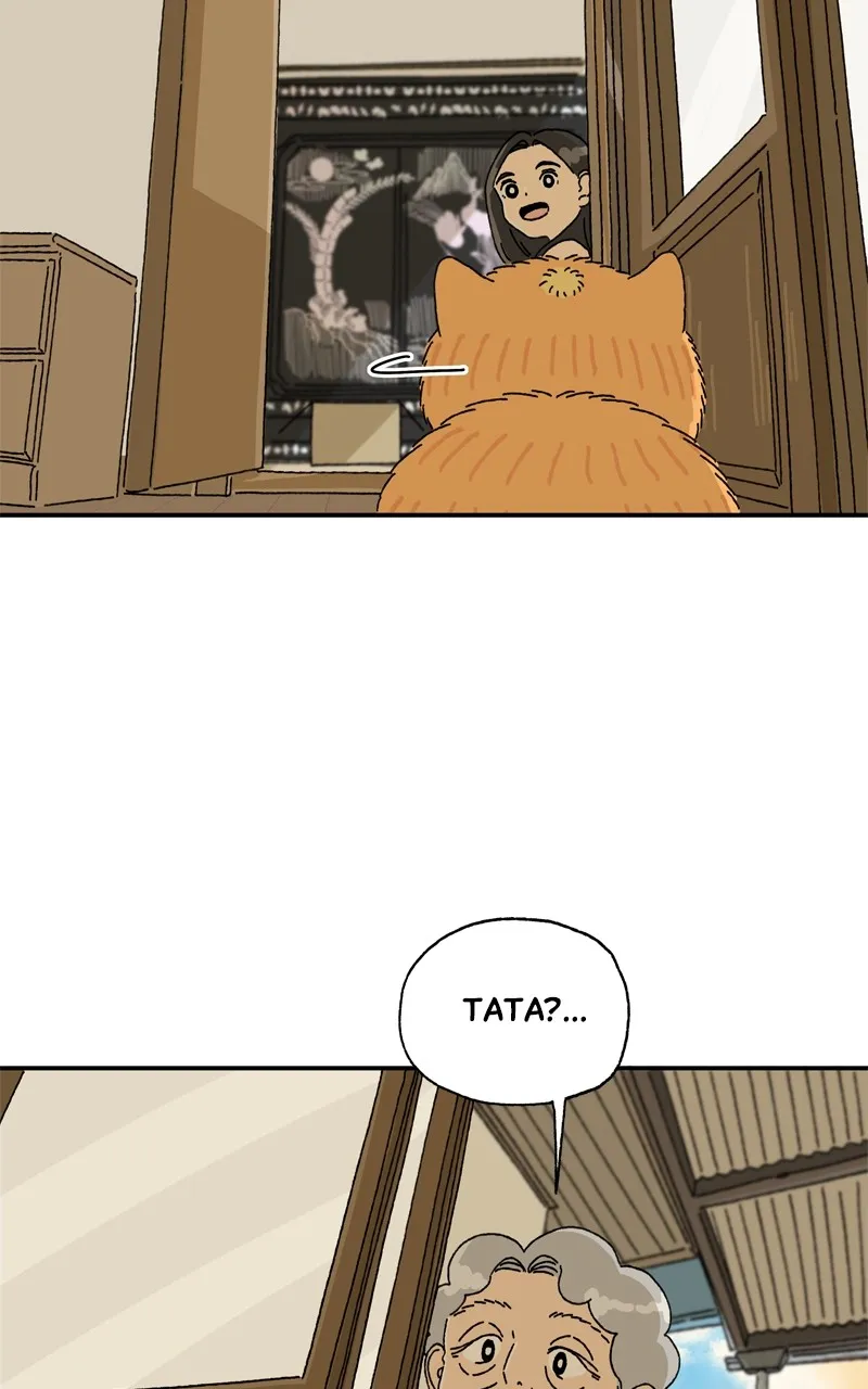 Tata the Cat Chapter 12 page 17 - 