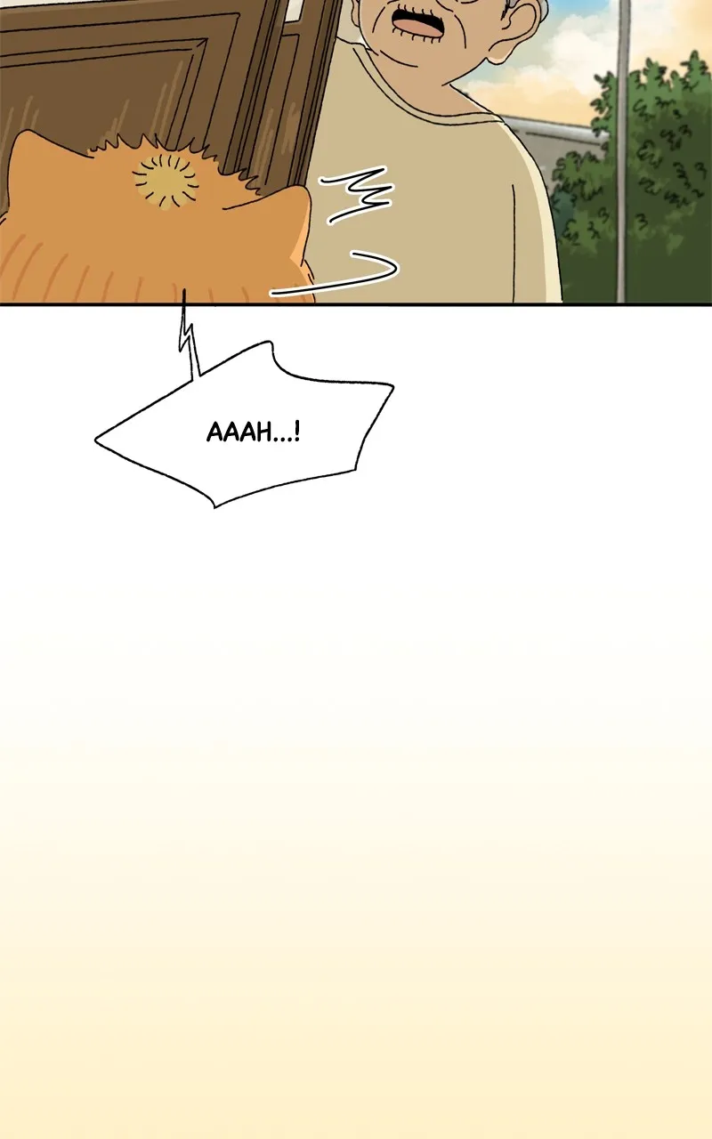 Tata the Cat Chapter 12 page 18 - 