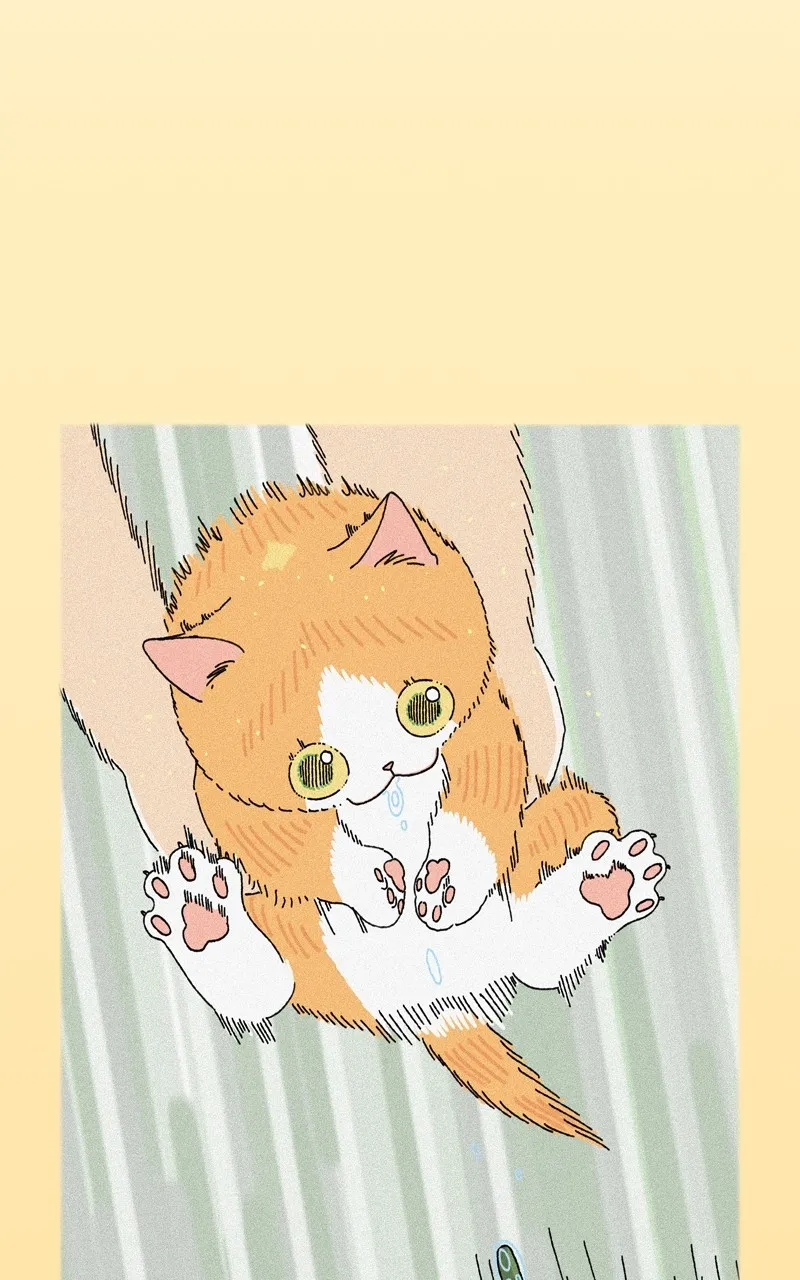 Tata the Cat Chapter 12 page 19 - 