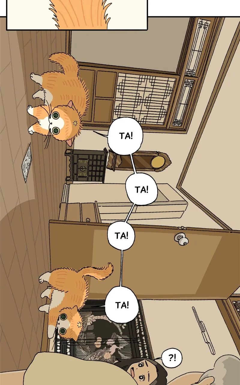 Tata the Cat Chapter 12 page 23 - 