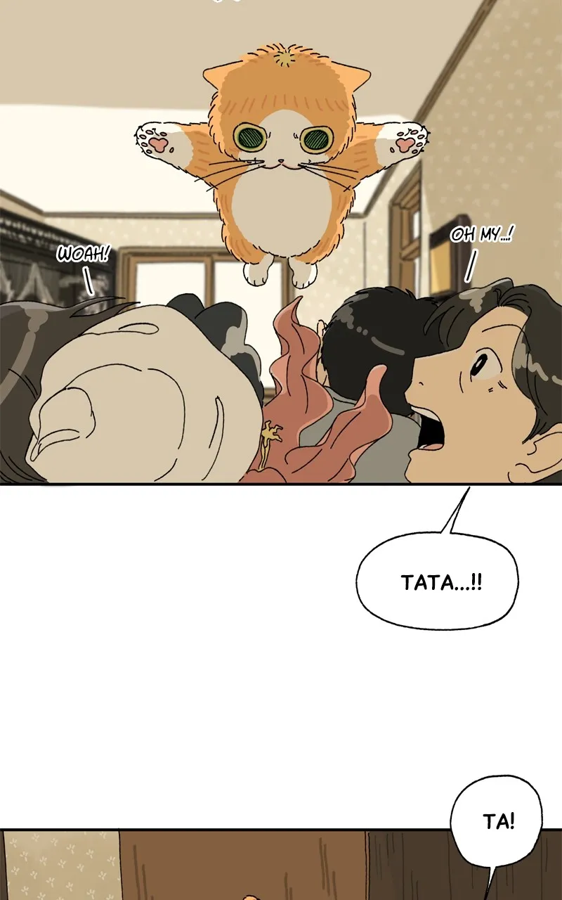 Tata the Cat Chapter 12 page 31 - 