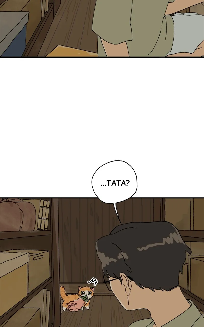 Tata the Cat Chapter 12 page 34 - 